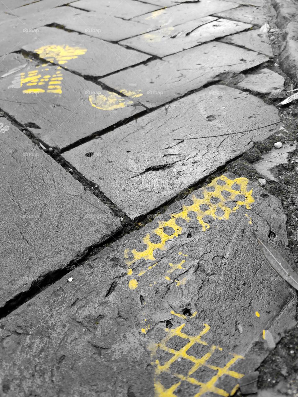 yellow shoe prints