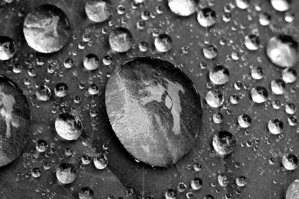 Wassertropfen  in Schwarzweiß