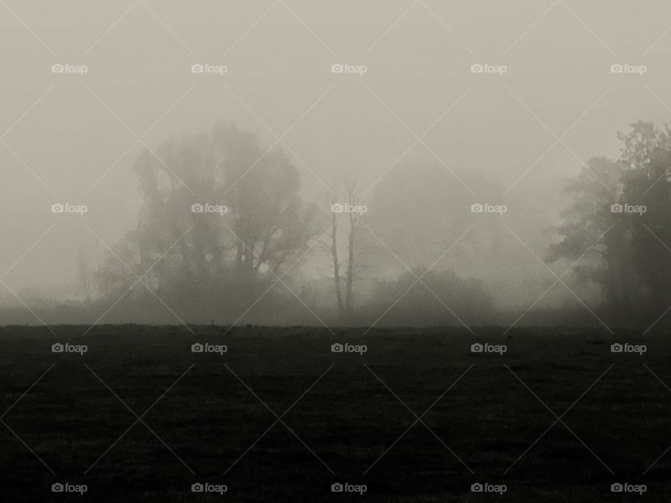 Myself watching...watching ...belonging and not belonging to this role play 