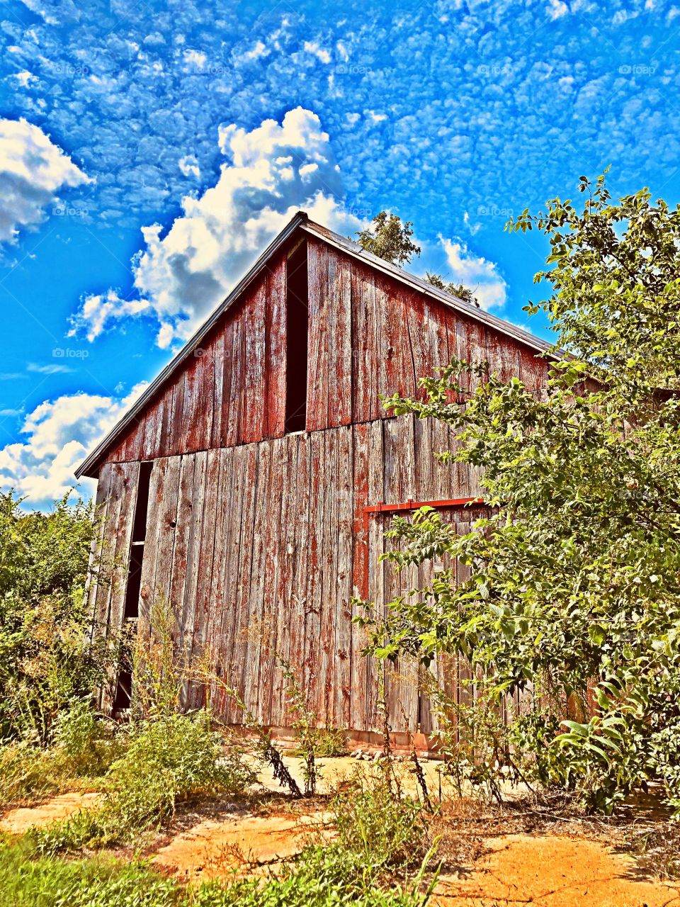 Old barn 