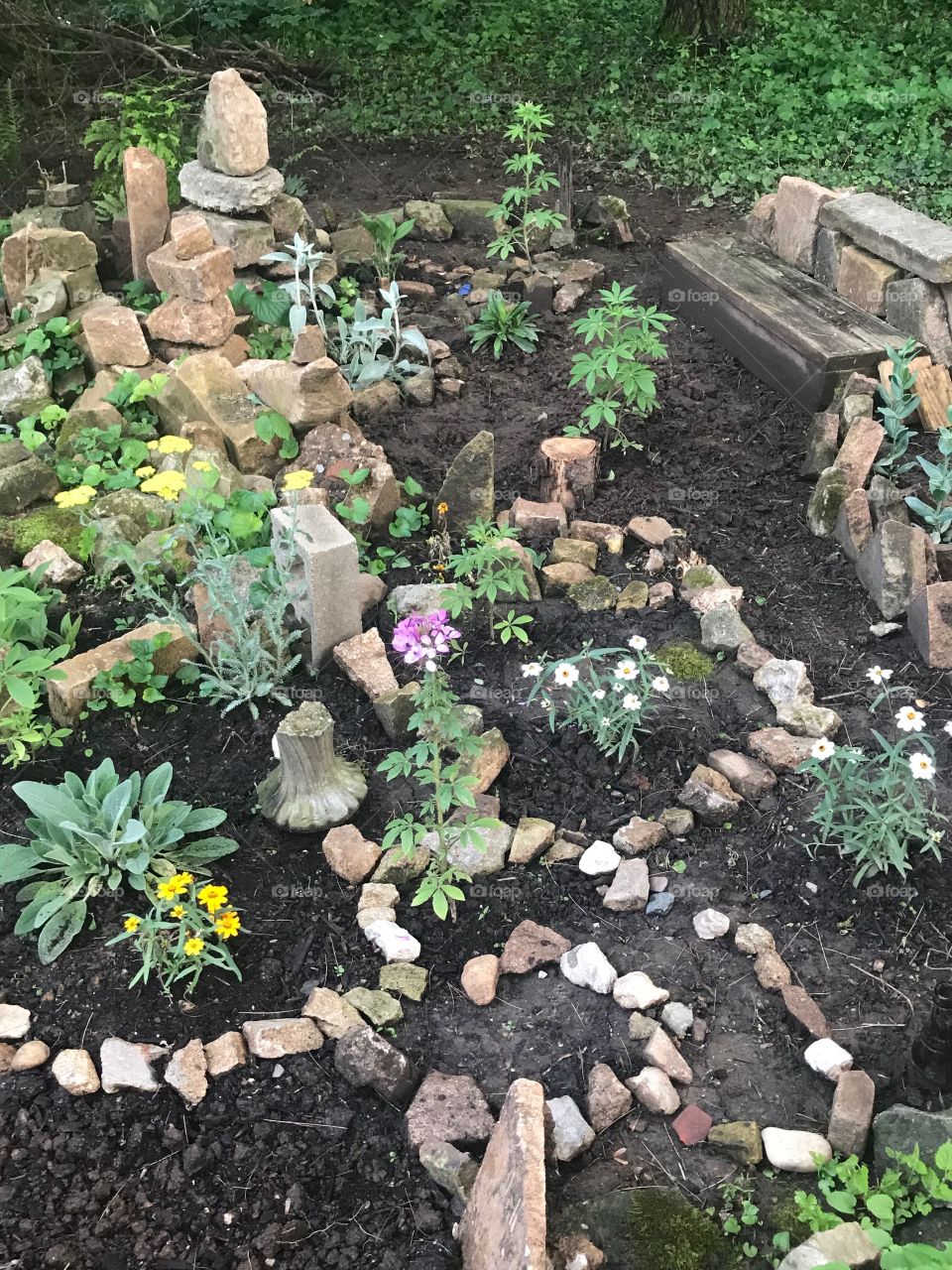 Flowers and stones in rock garden
