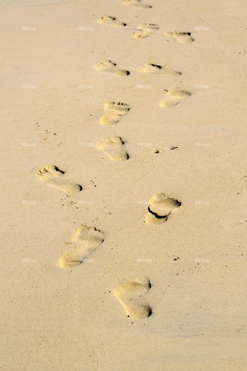 FootPrint