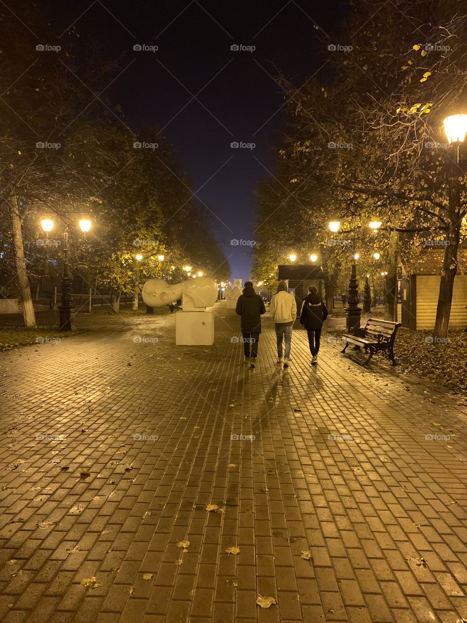 walk through the streets of the night city in the fall after the rain