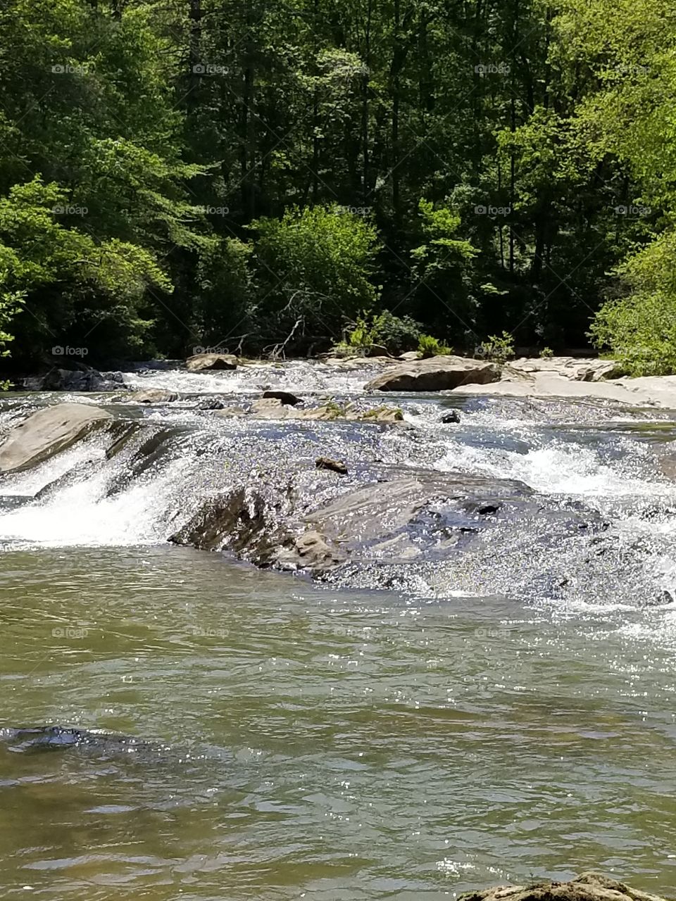 Water Falls  
Mossy Creek