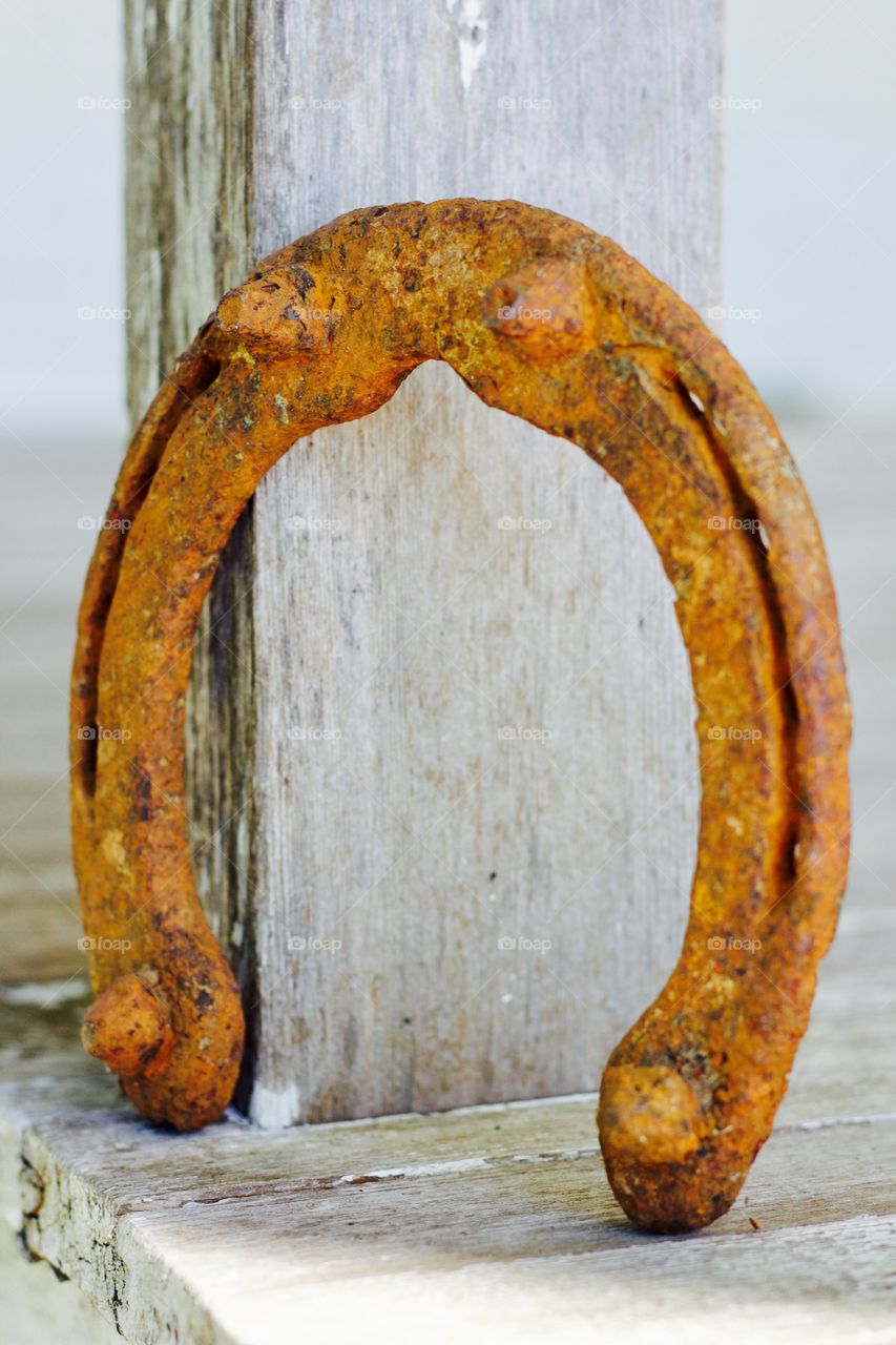 Rusty horseshoe