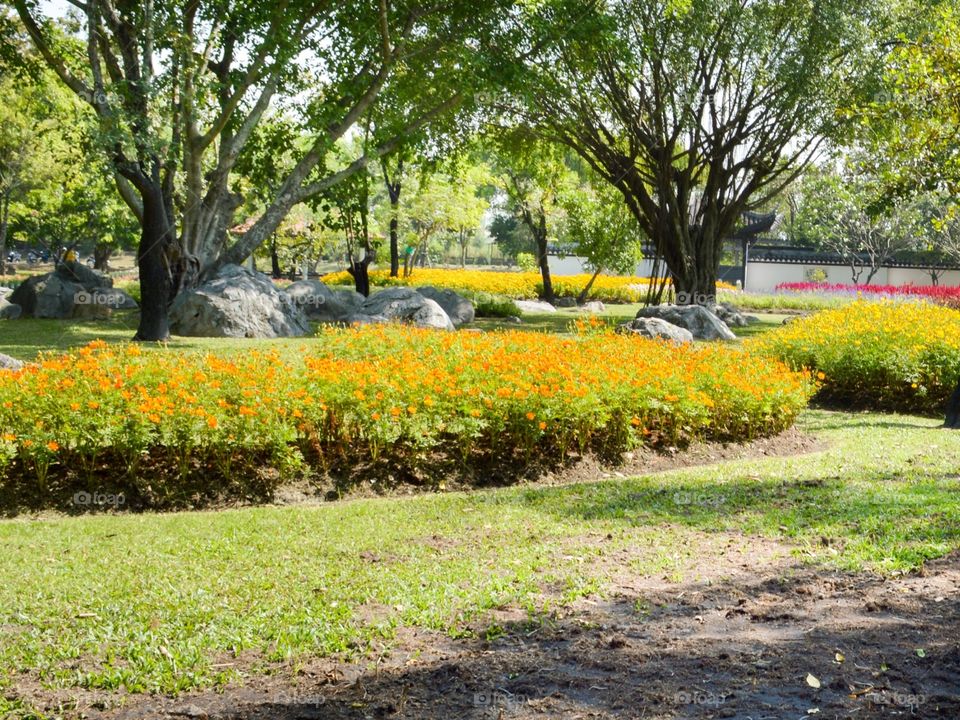 Flower garden in country thailand