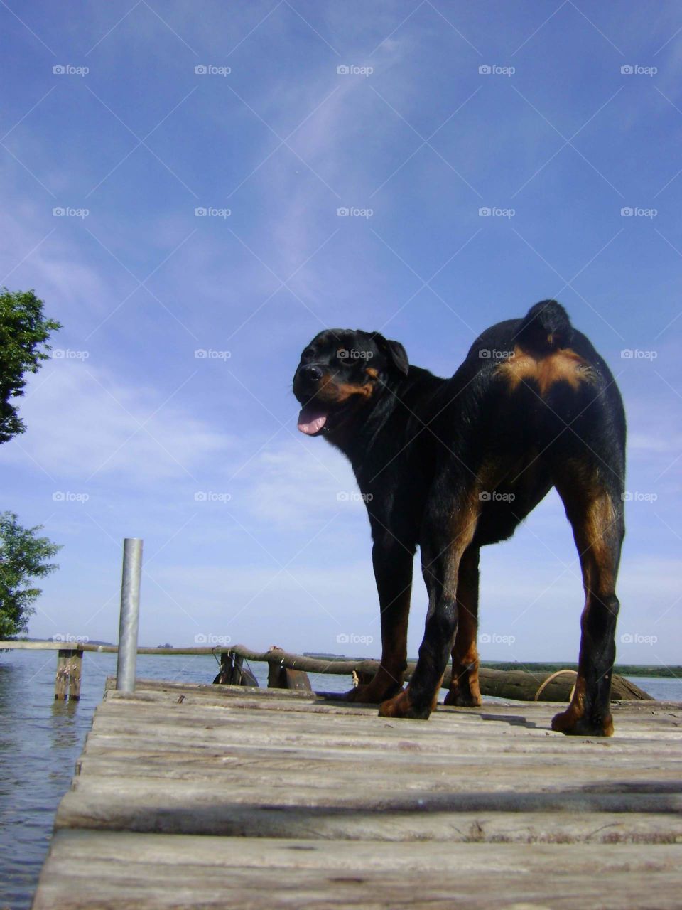 The face of the true hapinnes 