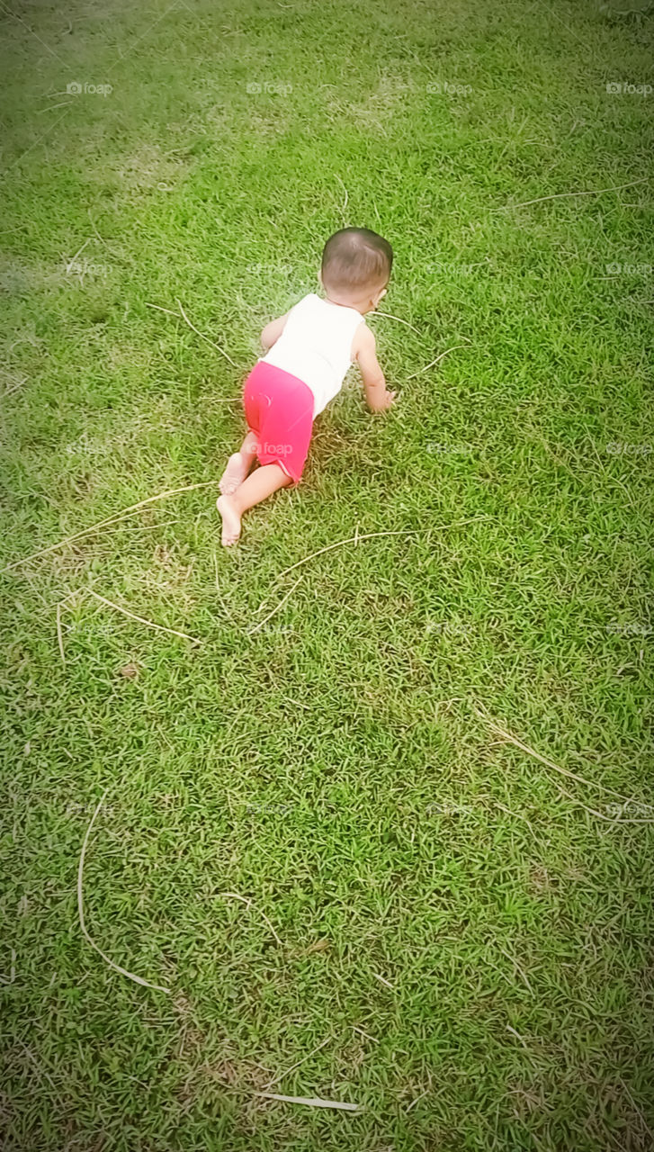 baby on the green grass