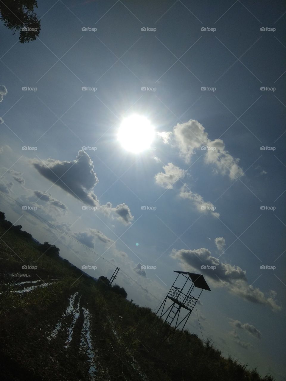 A beautiful sunny day from my village 😍🌞 Rural view!!