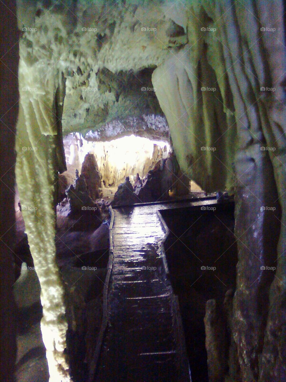 Cave Rajkova pećina