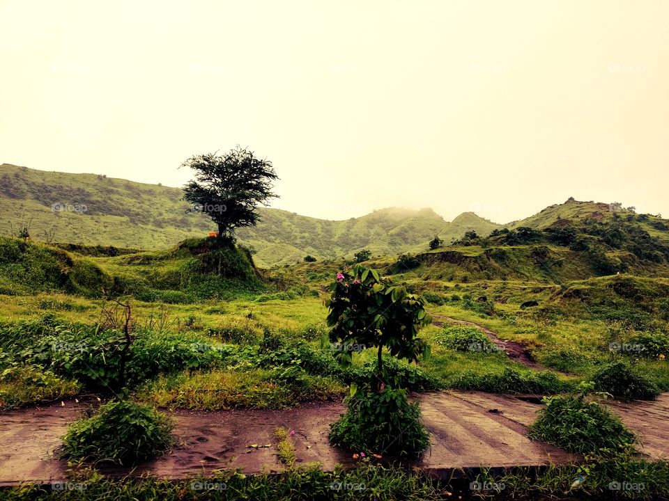 Pleasent Hill View
Rainy Weather ☔☁️
👁️👁️📷👁️
Flora🌱🍀🍀