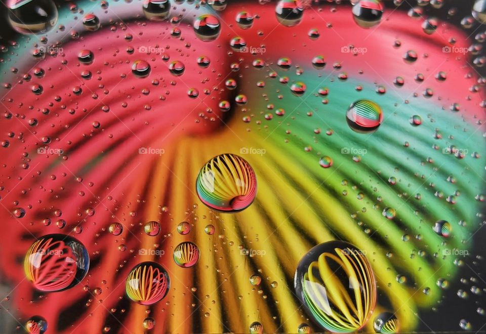 Refraction of slinky on water drops.