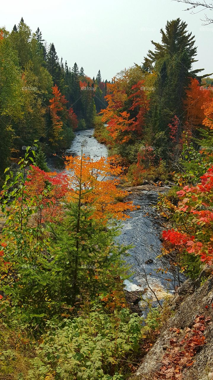 bluff view of the river in autumn