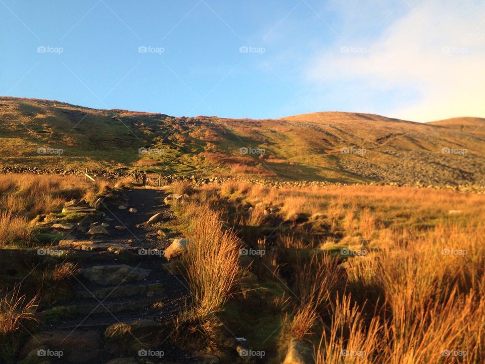 Whernside