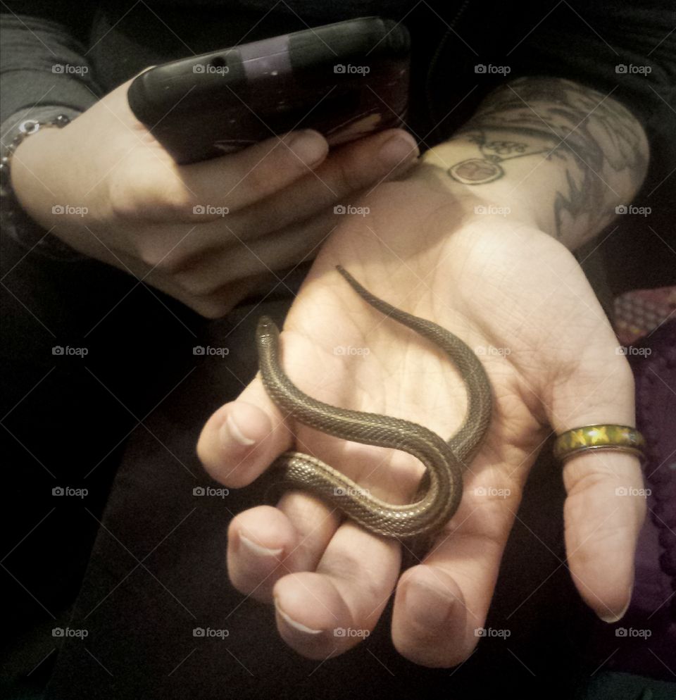 little garden snake friend