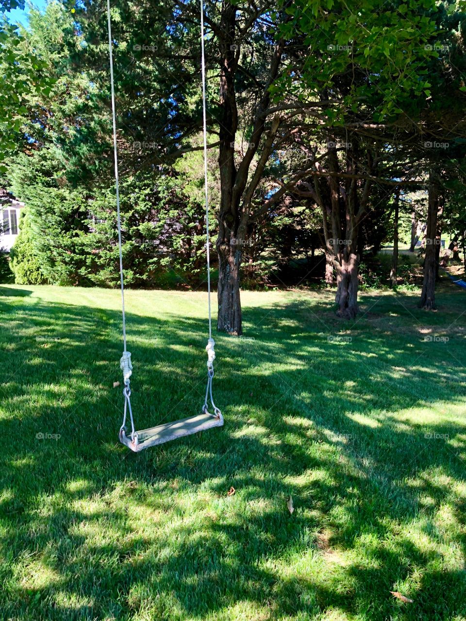 A swing in the summer
