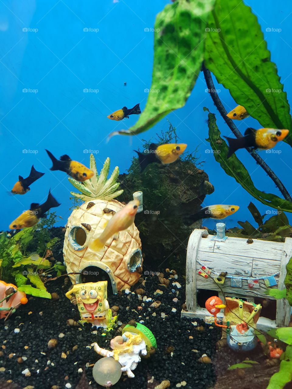 weil ich es einfach mag