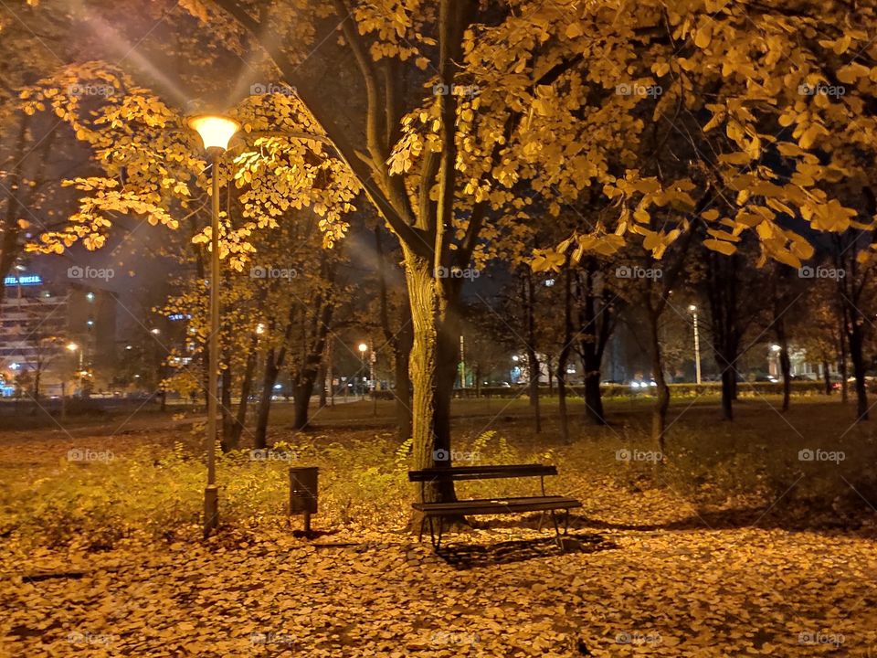 Novi Sad Serbia city centre park at night