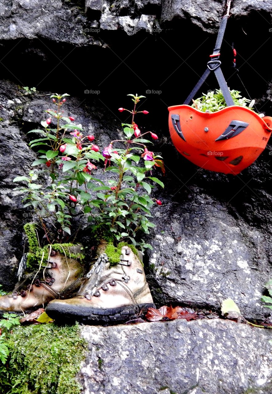 Funny flowers in the hill