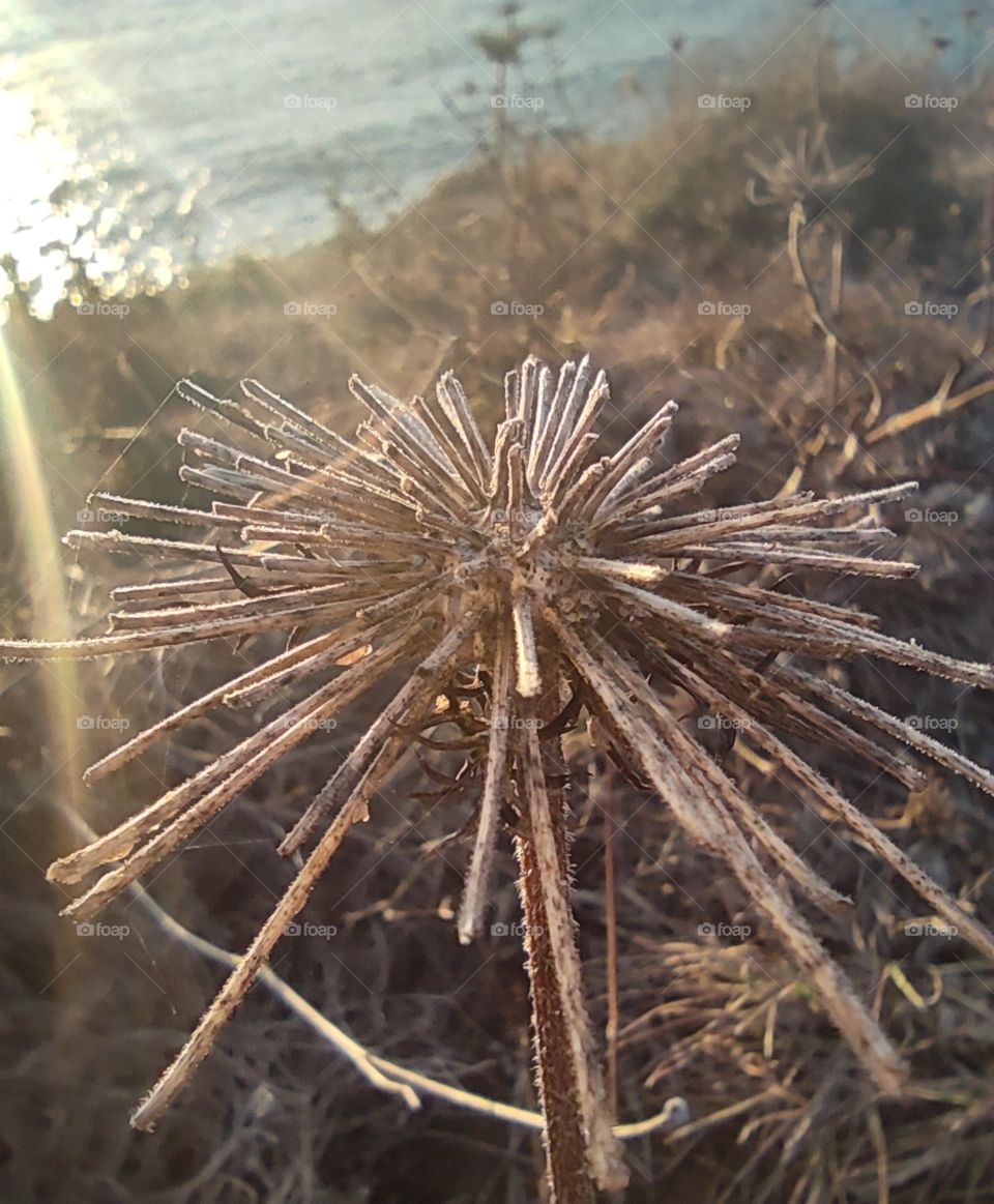 one evening by the sea