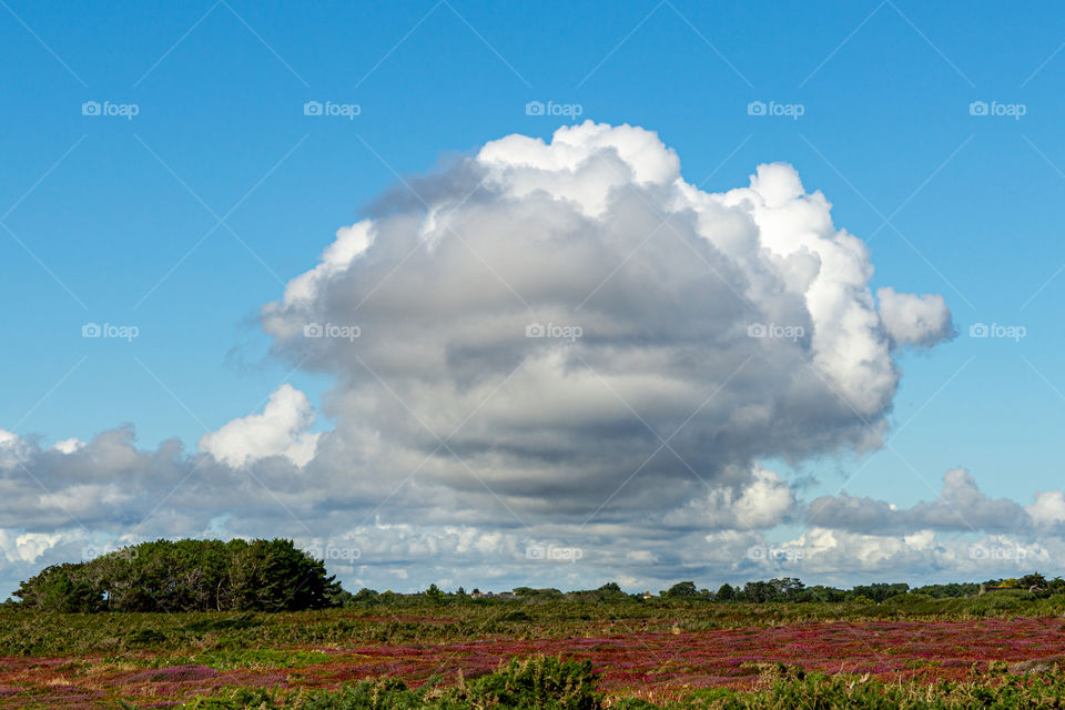 big white cloud in the blue sky