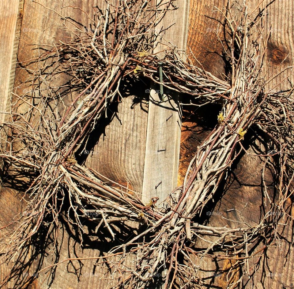 Wood, Tree, Wooden, Bark, Nature