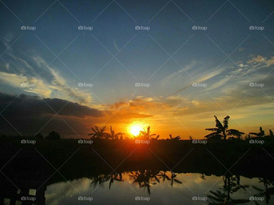 Evening sunset with reflection over a fish pond