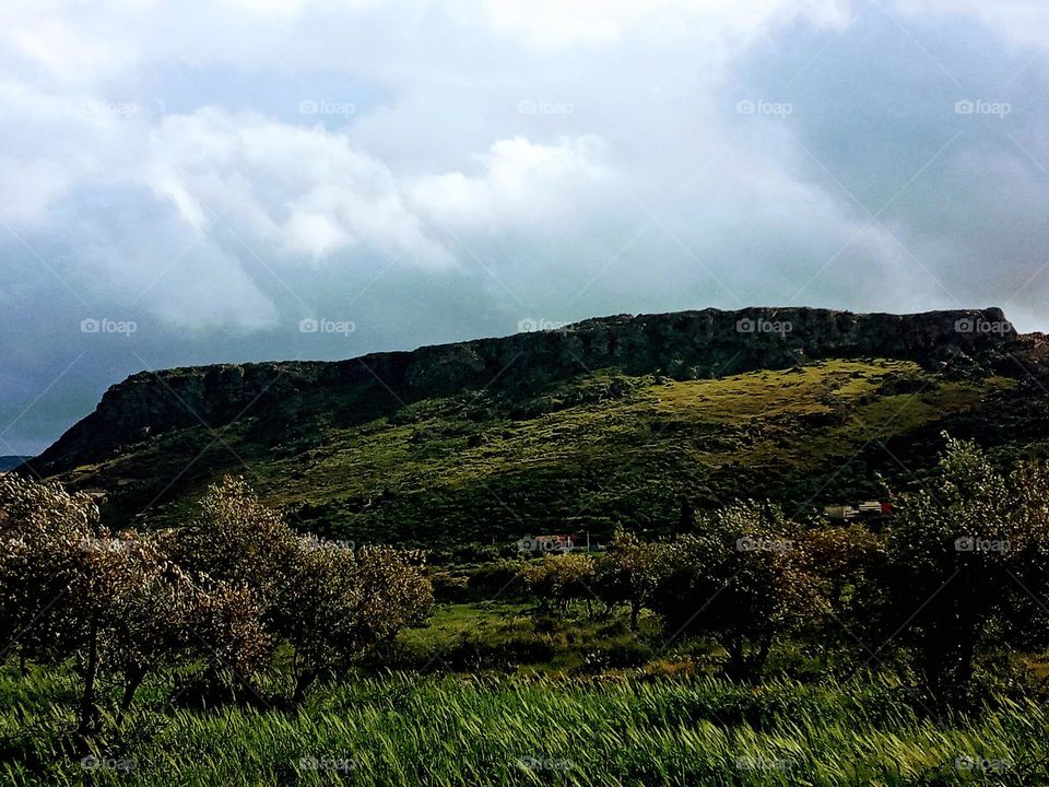 Landscape whit green field whit hich grass and cloudy sky