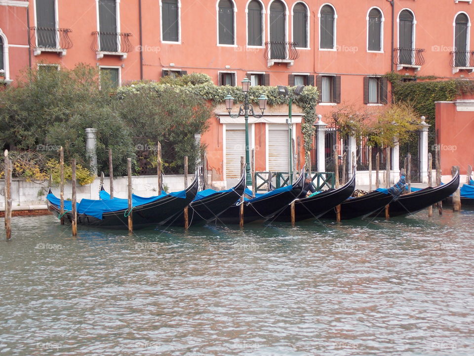 Venice colors