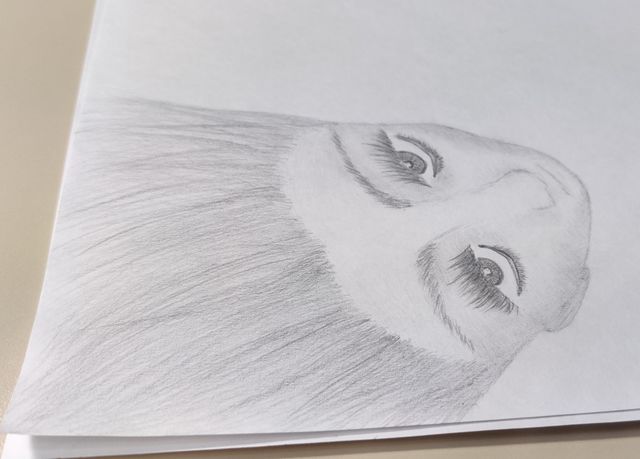 Pencil drawing.