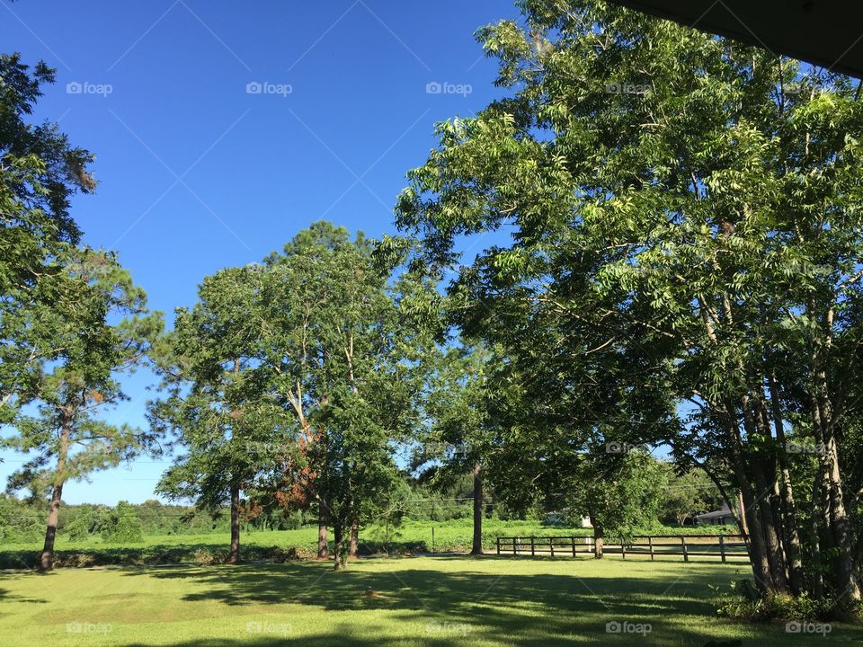 Living in the country 