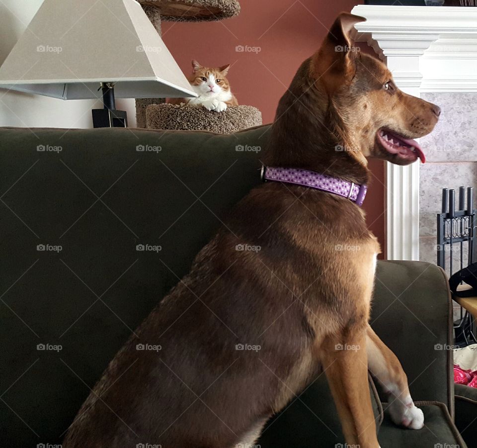 Paris is hilarious with her poses. Max is photo bombing with a not so happy expression on his face.