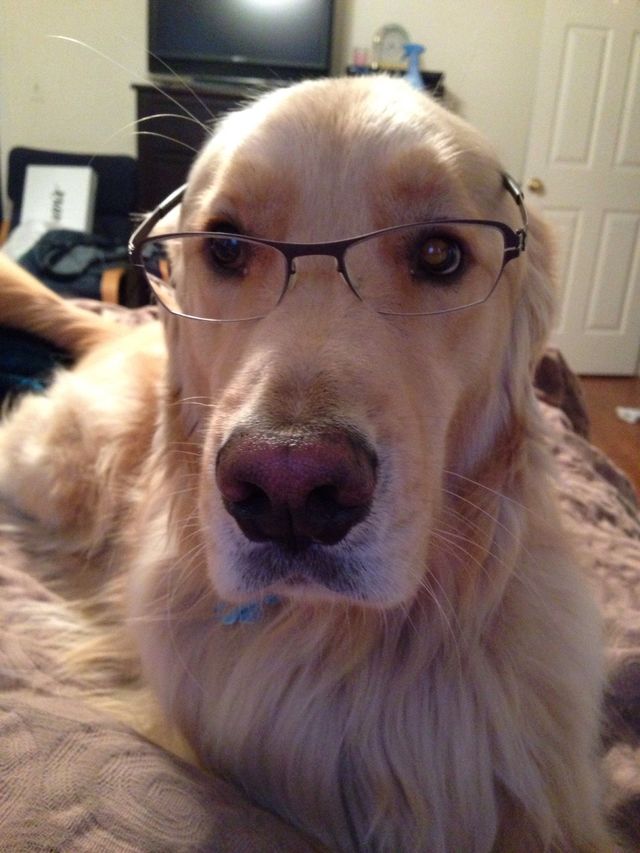 Cooper