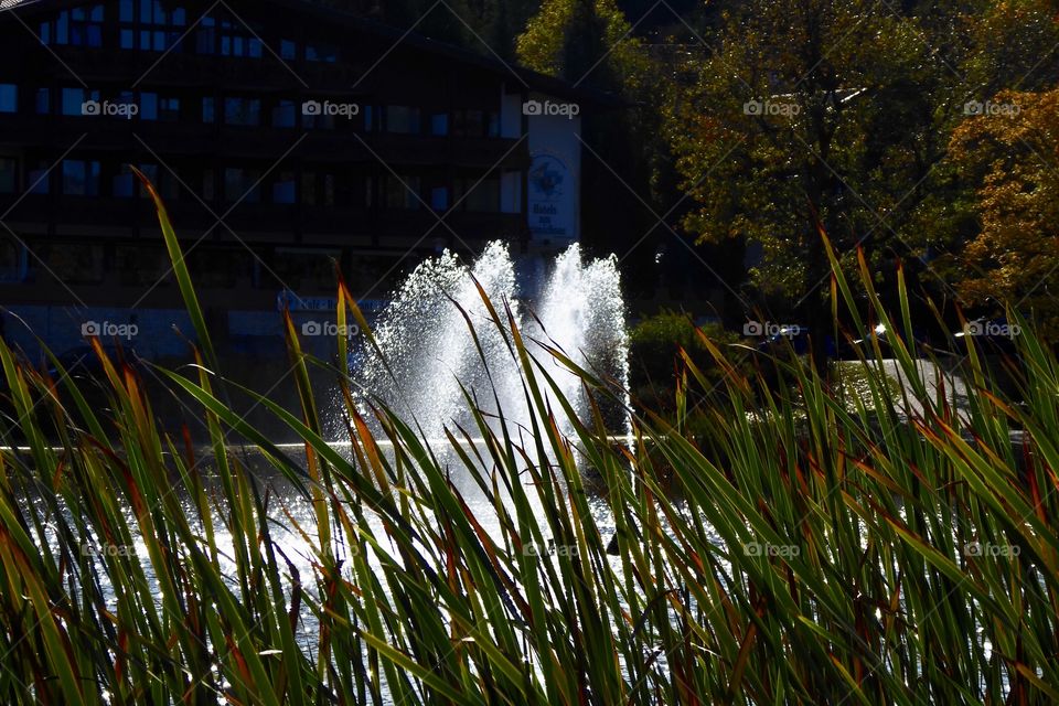 fountain in the park photographed by autumnal colored reeds