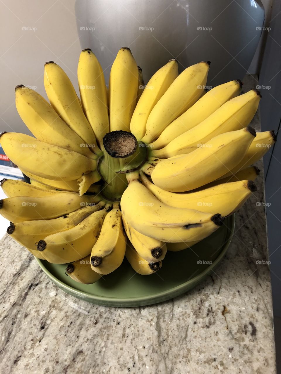 Fresh picked Bananas from the garden