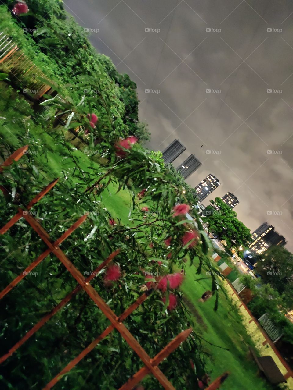 Amazing Combination of Nature
Behind the Bars...
Cloudy sky ⛈️🌨️🌌
Flower plant🌺🌺
Green Park 🍀🌿
Multistorey Buildings