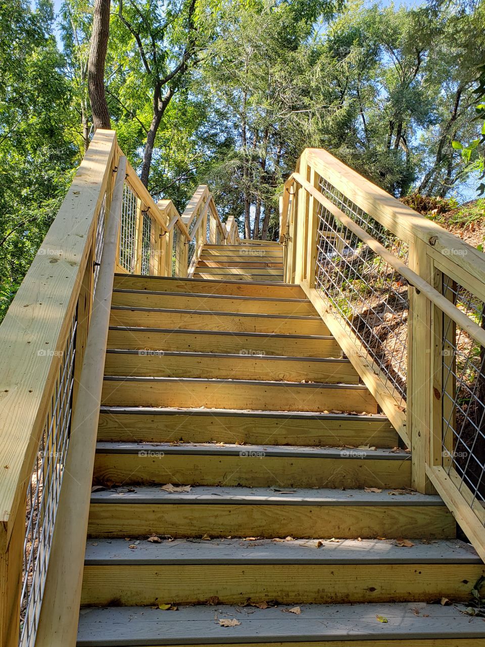 Beautiful lines in the walkway