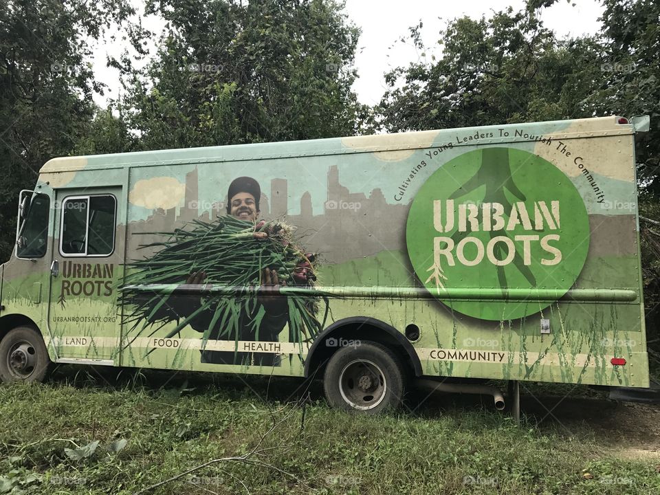Urban Roots, Austin, Tx
