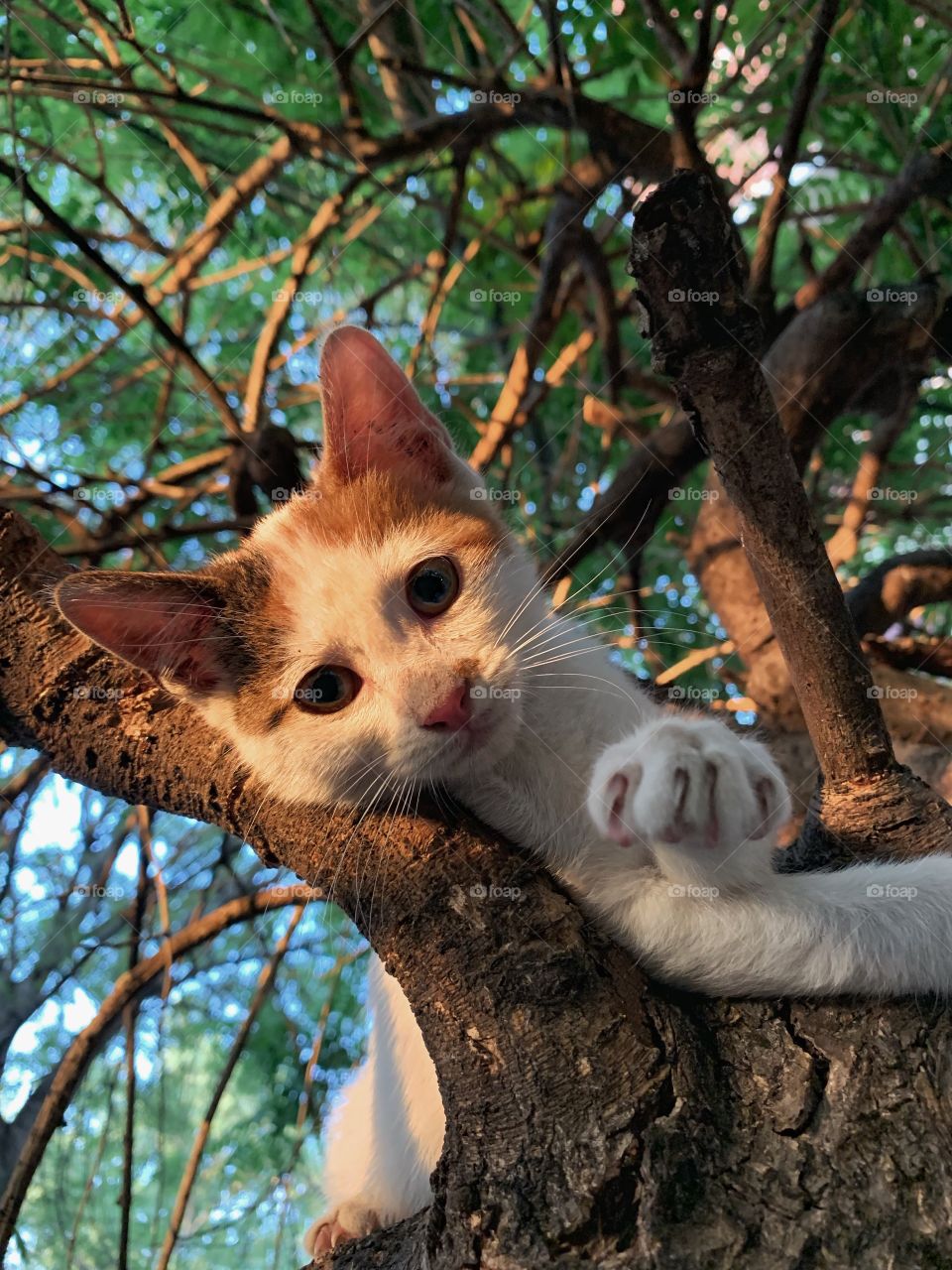 Jeniffer gentle you’re a witch 