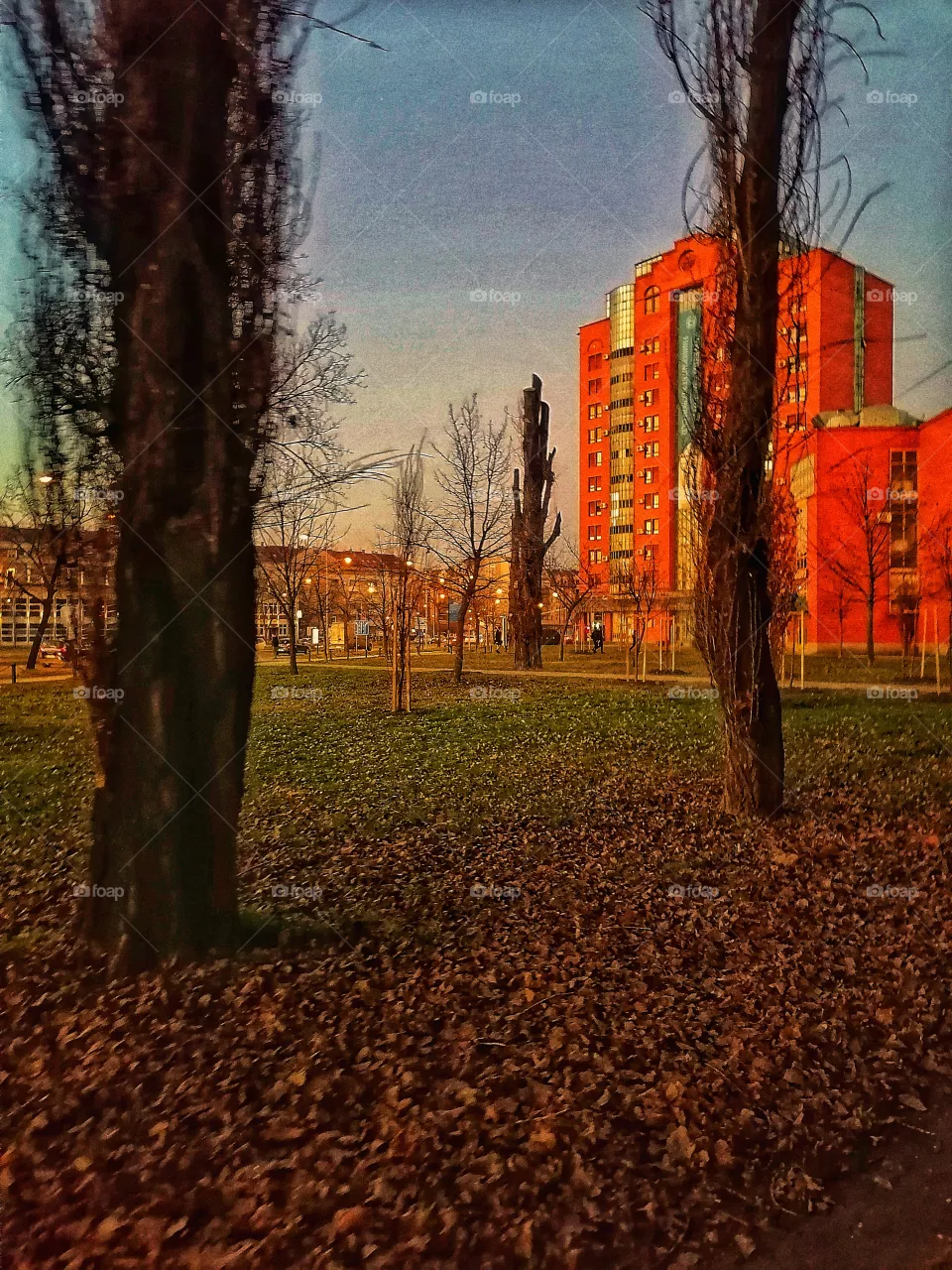 Autumn