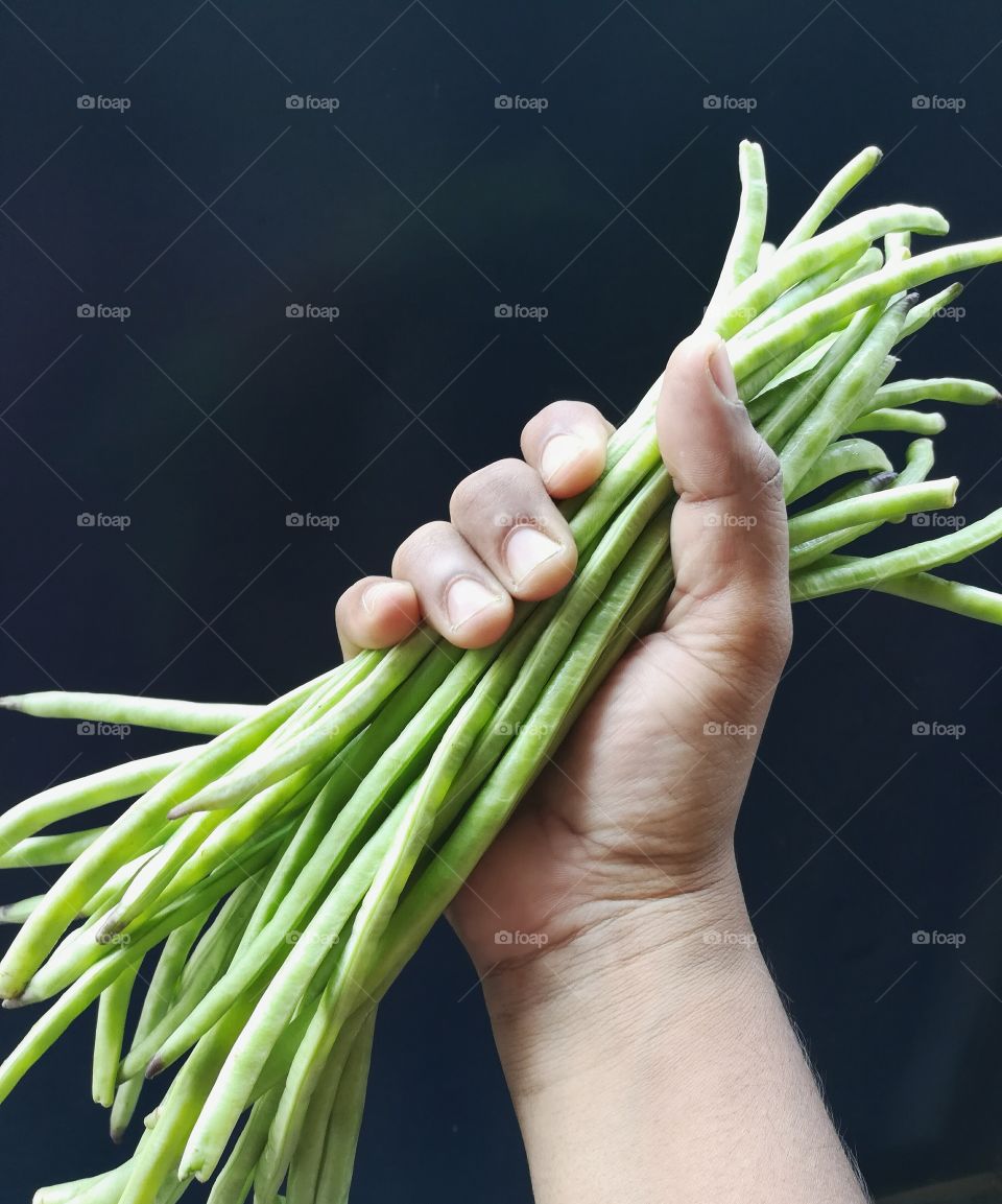 Close-up of hand holding green beans