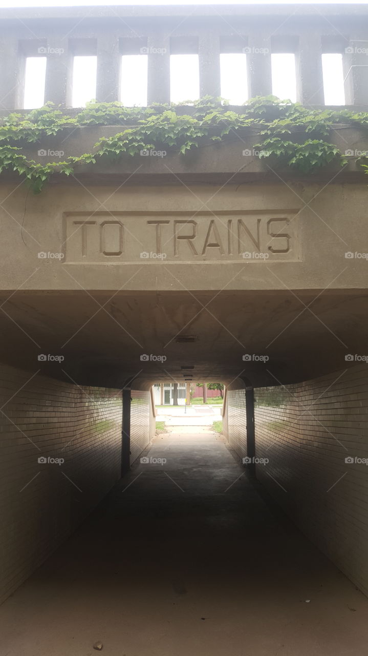 tunnel to train