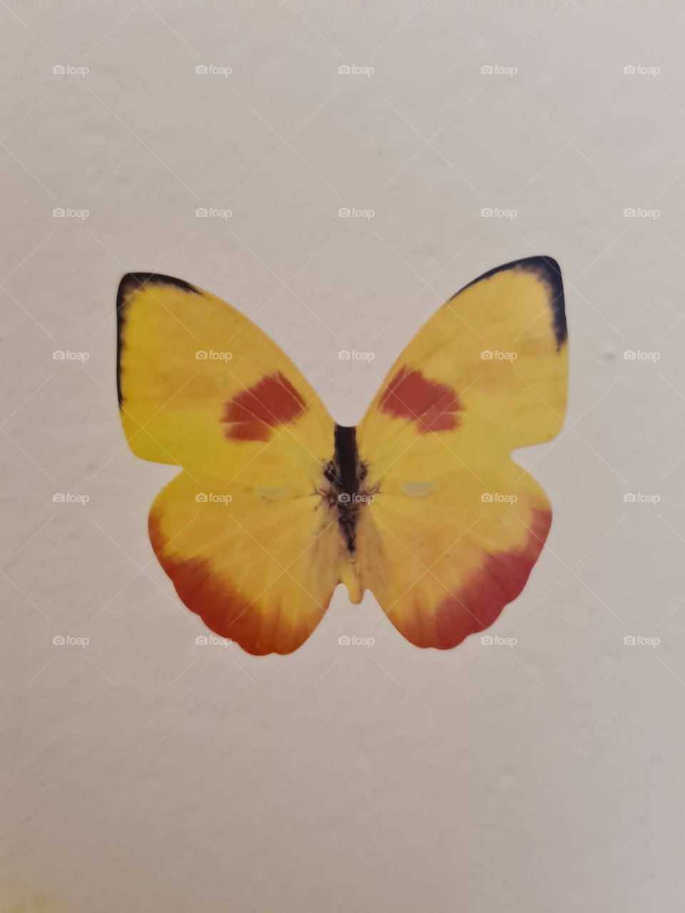 Bright yellow and dark orange butterfly sticker attached on light yellow wall as background.