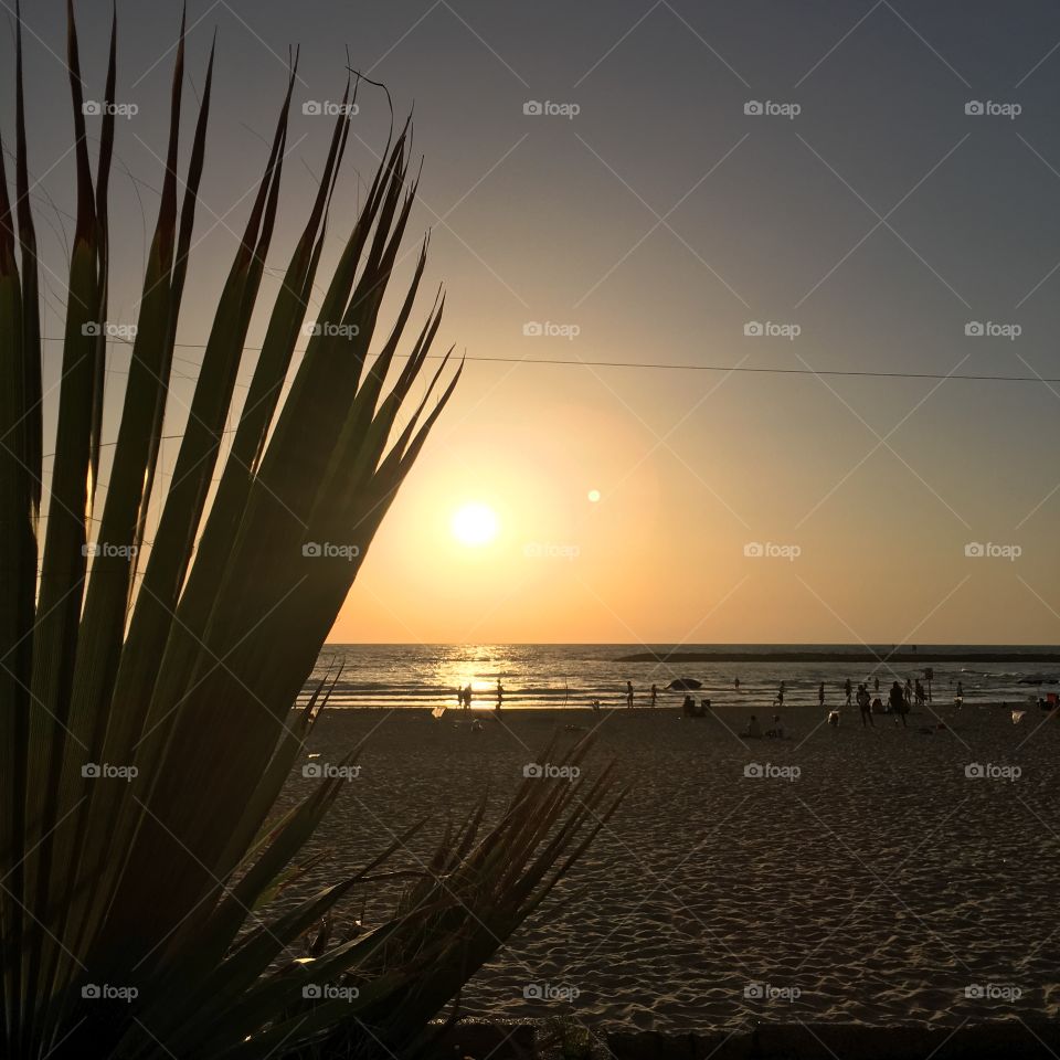 Sunset on Tel Aviv Beach