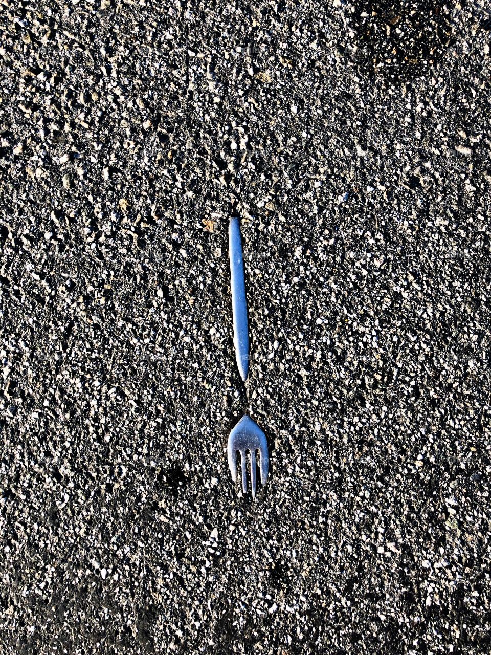 Fork in the road 