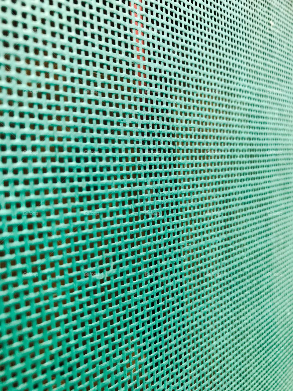 Close-up of green mesh