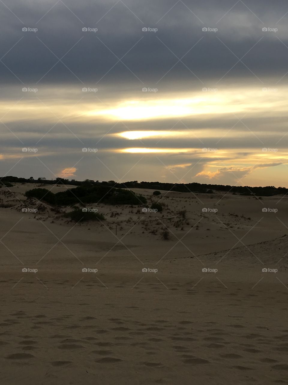 Sunset on sand dunes 