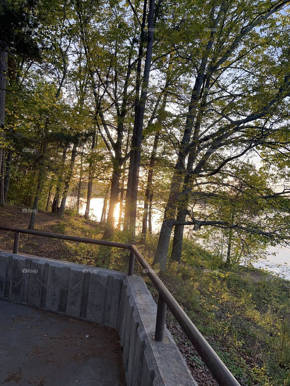 Thru my Lenz photo collection 