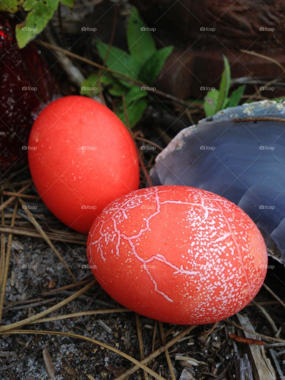 Orange crackled eggs with a natural blue agate in the rough.