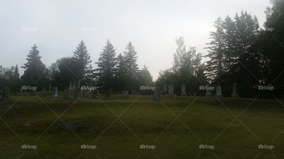 Early morning, peaceful cemetery.